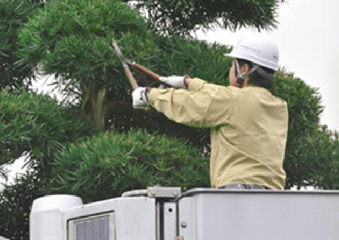 植栽・緑化業務